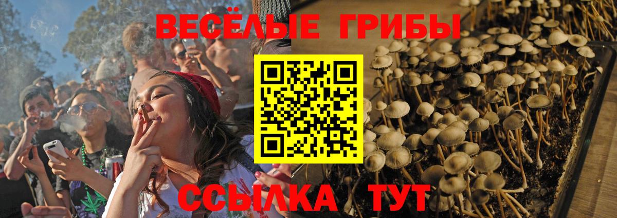 Галлюциногенные грибы прущие грибы  Псилоцибиновые грибы GOLDEN TEACHER  Вход с VPN  хочу   Луховицы 